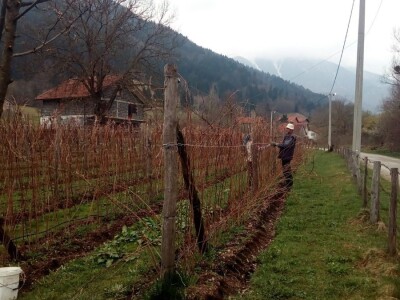 Hazim i Nihada Ljubunčić: Za poljoprivredu je najvažnije uzgajati više kultura