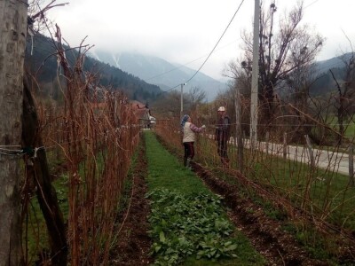 Hazim i Nihada Ljubunčić: Za poljoprivredu je najvažnije uzgajati više kultura