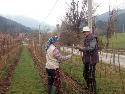 Hazim i Nihada Ljubunčić: Za poljoprivredu je najvažnije uzgajati više kultura