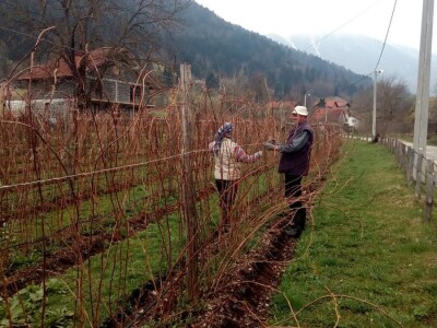 Hazim i Nihada Ljubunčić: Za poljoprivredu je najvažnije uzgajati više kultura