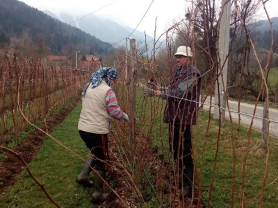 Hazim i Nihada Ljubunčić: Za poljoprivredu je najvažnije uzgajati više kultura