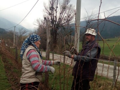 Hazim i Nihada Ljubunčić: Za poljoprivredu je najvažnije uzgajati više kultura
