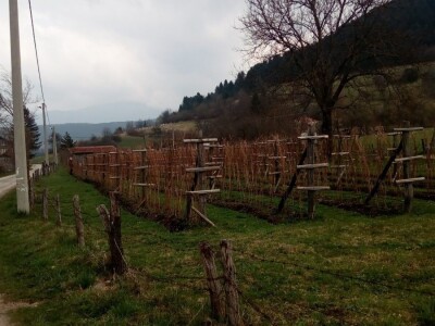 Hazim i Nihada Ljubunčić: Za poljoprivredu je najvažnije uzgajati više kultura