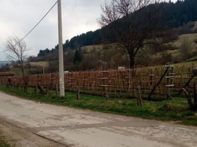 Hazim i Nihada Ljubunčić: Za poljoprivredu je najvažnije uzgajati više kultura