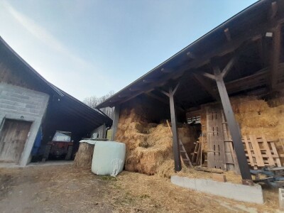 Hazim sa svojim blagom Hazim sa svojim blagom