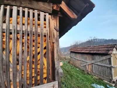 Hazim sa svojim blagom Hazim sa svojim blagom