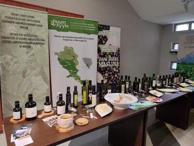 Hecegovci potvrdili da proizode "zlatne kapi": Maslinova ulja vrhunske kvalitete