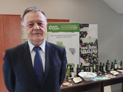 Hecegovci potvrdili da proizode "zlatne kapi": Maslinova ulja vrhunske kvalitete