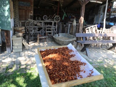 Hedonizam je na istoku