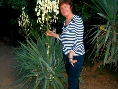 Helena i neobična biljka juka