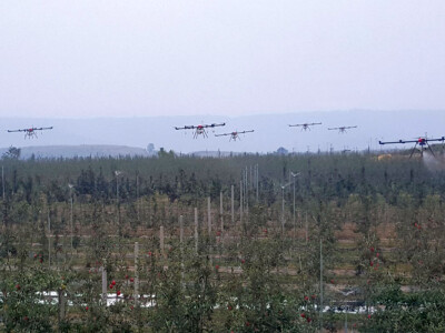 Prskanje voćnjaka dronovima