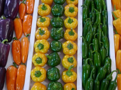 Susret agrarnih novinara