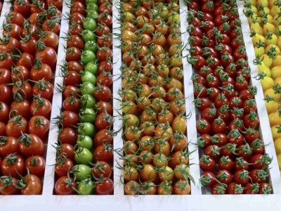 Susret agrarnih novinara