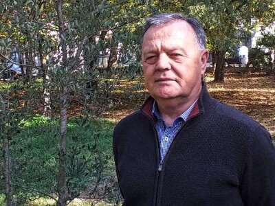 Hercegovačke masline