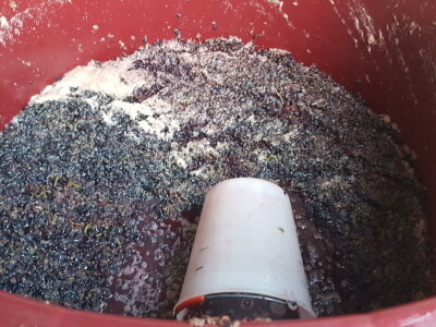 Hercegovački Ćupter stariji od njemačkih gumenih bombona