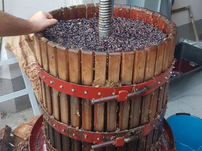 Hercegovački Ćupter stariji od njemačkih gumenih bombona