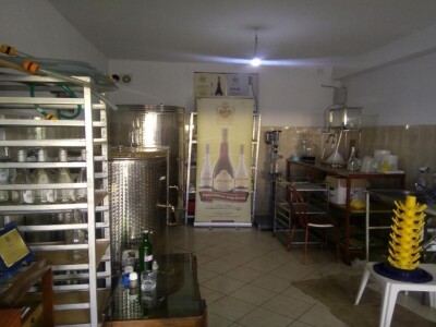 Hercegovački srčanik Hercegovački srčanik