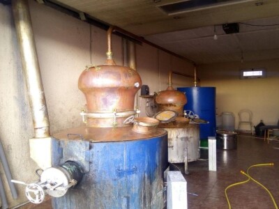 Hercegovački srčanik Hercegovački srčanik