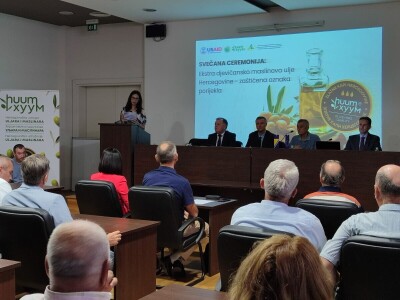 Hercegovačko maslinovo ulje postaje zaštićen brend
