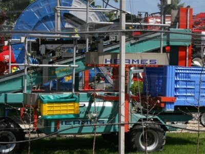 Hermes na Novosadskom sajmu 2014.