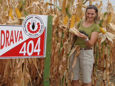 Dani polja Poljoprivrednog Instituta Osijek