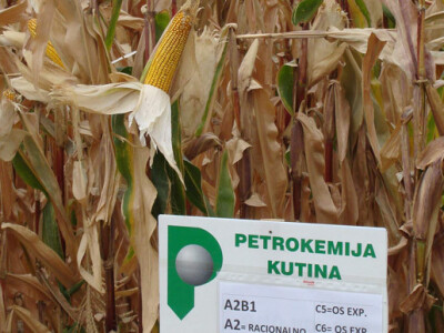 Dani polja Poljoprivrednog Instituta Osijek