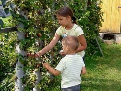 Od poznatog repera do uspješnog poljoprivrednika