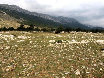 Highlander Velebit 2019