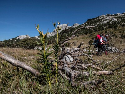 Highlander Velebit 2019