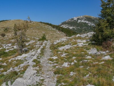 Highlander Velebit 2020