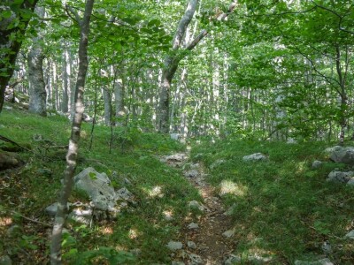 Highlander Velebit 2020