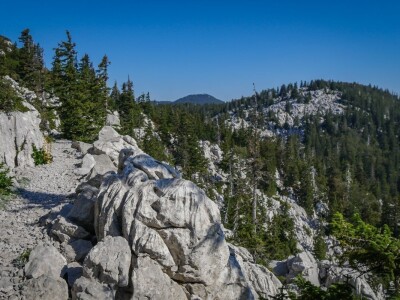 Highlander Velebit 2020