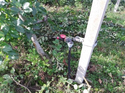 Hittnerov lovac mraza spasio voćnjak Matka Zelića