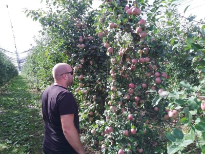 Hittnerov lovac mraza spasio voćnjak Matka Zelića