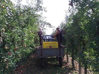 Hittnerov lovac mraza spasio voćnjak Matka Zelića