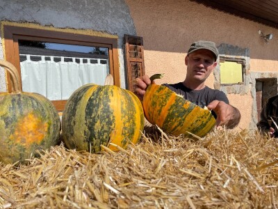 Hladno prešana ulja Brigita Hergan