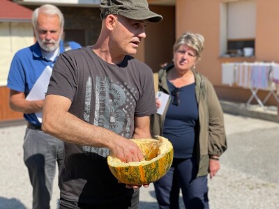 Hladno prešana ulja Brigita Hergan