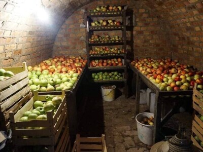 Hobbitova kućica usred slavonske ravnice mjesecima održava namirnice svježima Hobbitova kućica usred slavonske ravnice mjesecima održava namirnice svježima
