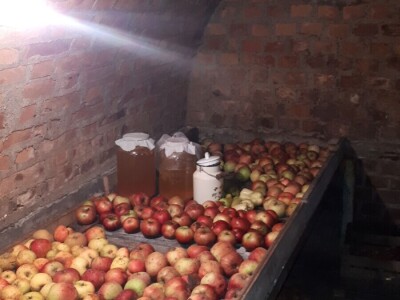 Hobbitova kućica usred slavonske ravnice mjesecima održava namirnice svježima Hobbitova kućica usred slavonske ravnice mjesecima održava namirnice svježima