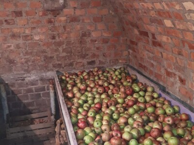 Hobbitova kućica usred slavonske ravnice mjesecima održava namirnice svježima