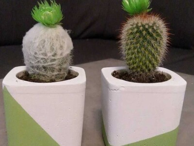 Hobi koji je spojio kereativnost i ljubav prema cvijeću