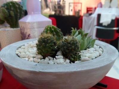 Hobi koji je spojio kereativnost i ljubav prema cvijeću