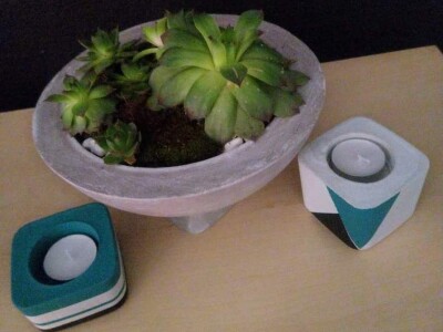 Hobi koji je spojio kereativnost i ljubav prema cvijeću