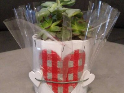 Hobi koji je spojio kereativnost i ljubav prema cvijeću