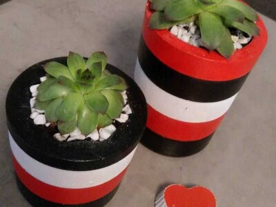 Hobi koji je spojio kereativnost i ljubav prema cvijeću