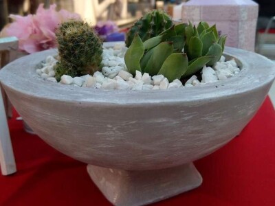 Hobi koji je spojio kereativnost i ljubav prema cvijeću