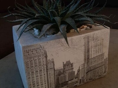 Hobi koji je spojio kereativnost i ljubav prema cvijeću