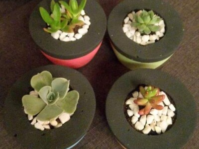 Hobi koji je spojio kereativnost i ljubav prema cvijeću