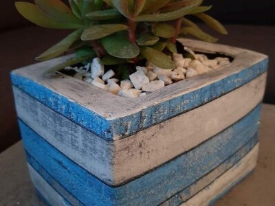 Hobi koji je spojio kereativnost i ljubav prema cvijeću