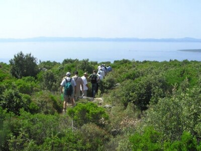 Hodanje - vrh otoka Hvara (Humac)